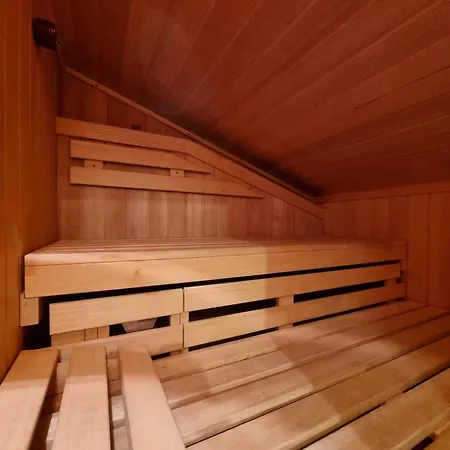 Zum Lerch Penthouse 公寓 萨斯费
